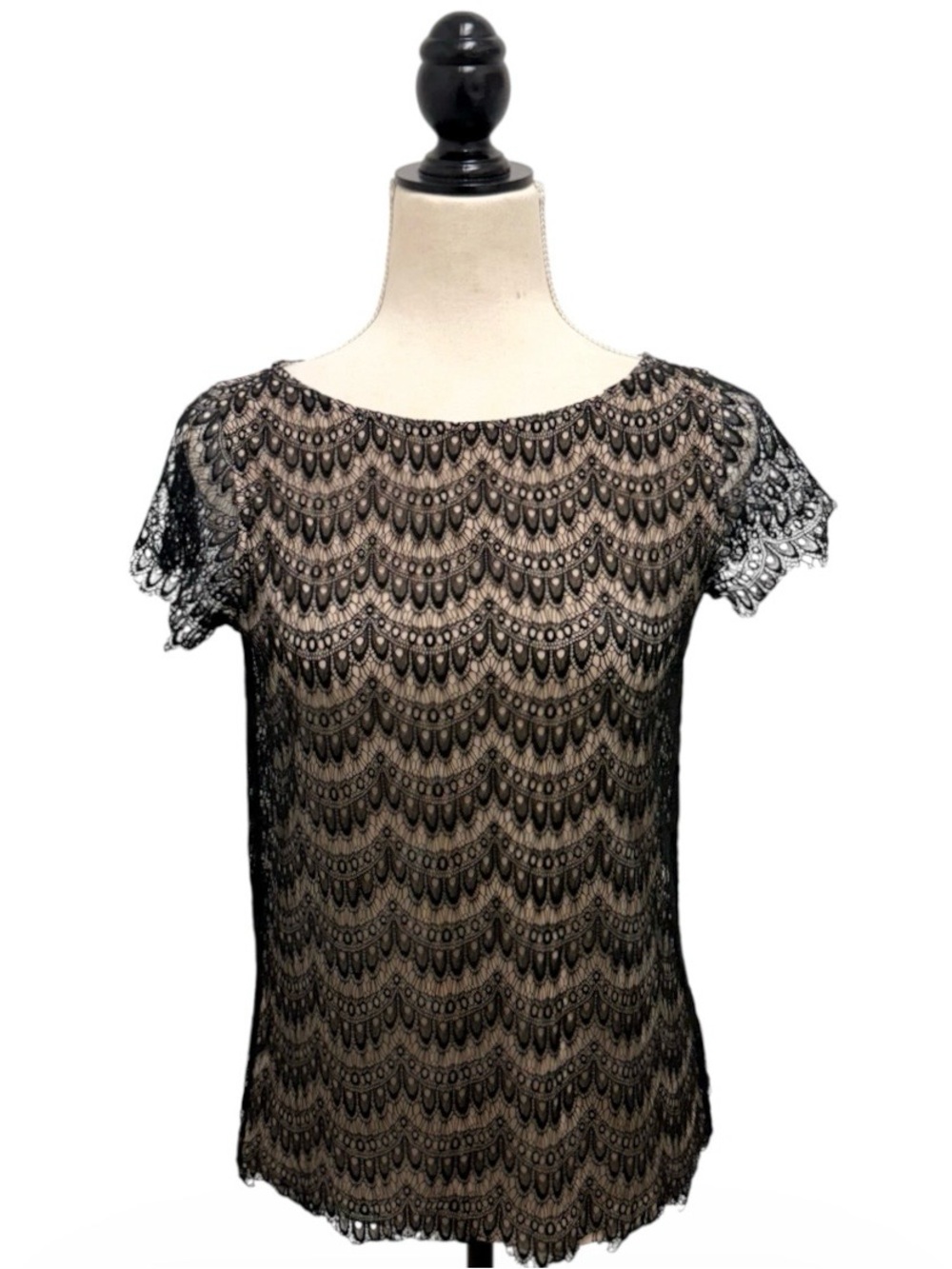 Ann Taylor Black Nude Sheer Lace Overlay Round Neck Short Sleeve Top Size S